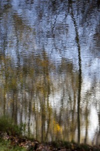 08 Bois de Boulogne nov.2009