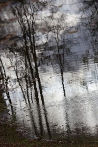 10 Bois de Boulogne nov2.2009