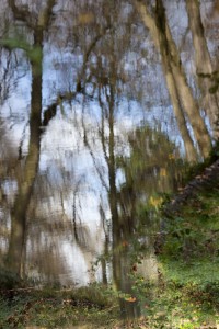 Bois de Boulogne nov.2009-2