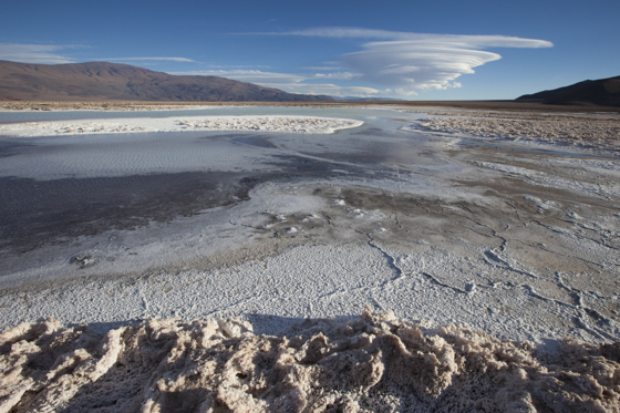 Puna de Atakama, Argentina-2