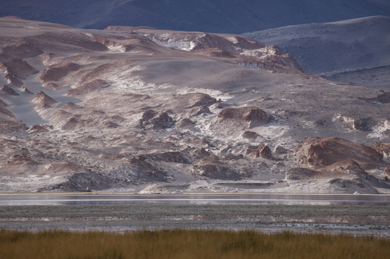 Puna de Atakama, Argentina-5