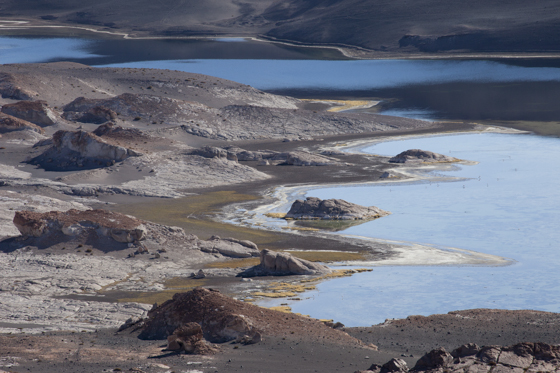 Puna de Atakama, Argentina copie