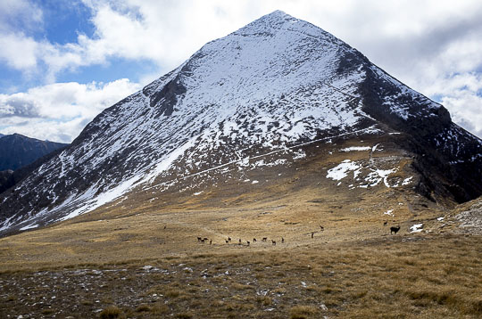 05-pirin